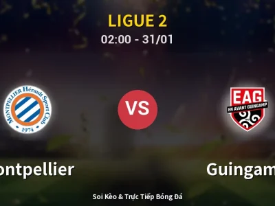 Kết Quả: Montpellier 3-1 Guingamp – Highlight & Bàn Thắng | Ligue 2