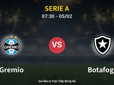 Kết Quả: Gremio 5-3 Botafogo – Highlight & Bàn Thắng | Serie A