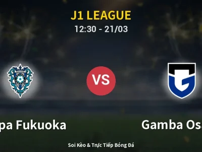 Kết Quả: Avispa Fukuoka 2-2 Gamba Osaka – Highlight & Bàn Thắng | J1 League